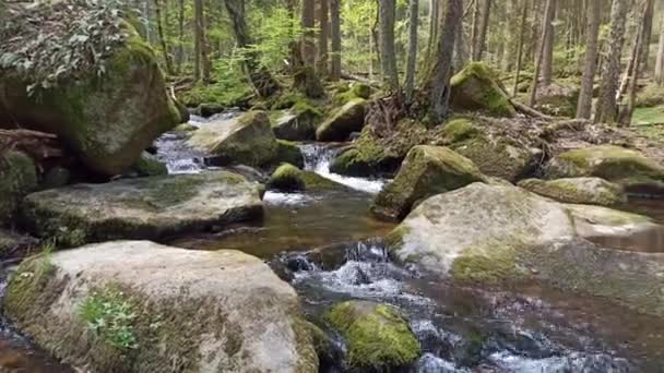 Małe Wodospady Wiosną Czechy Wodospady Wolfganga — Wideo stockowe