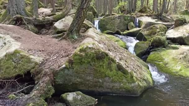 春までに小さな滝 チェコ共和国 聖ヴォルフガングの滝 — ストック動画