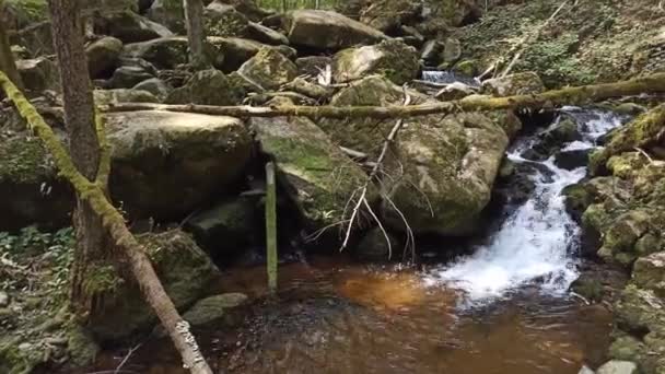 Kleine Watervallen Het Voorjaar Tsjechië Watervallen Van Wolfgang — Stockvideo