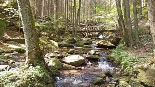 Small Waterfalls Spring Czech Republic Waterfalls Wolfgang — Stock Video