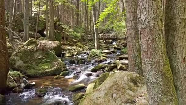 Kleine Wasserfälle Frühling Tschechien Wasserfälle Von Wolfgang — Stockvideo