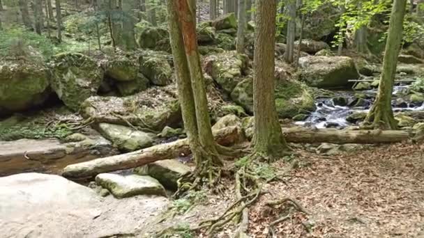 Cascadas Pequeñas Primavera República Checa Cascadas Wolfgang — Vídeos de Stock