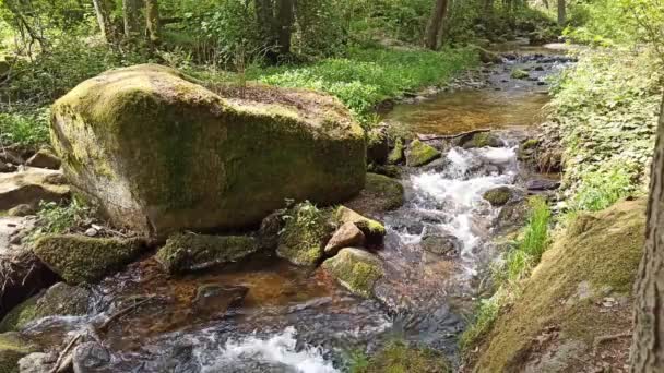 Małe Wodospady Wiosną Czechy Wodospady Wolfganga — Wideo stockowe