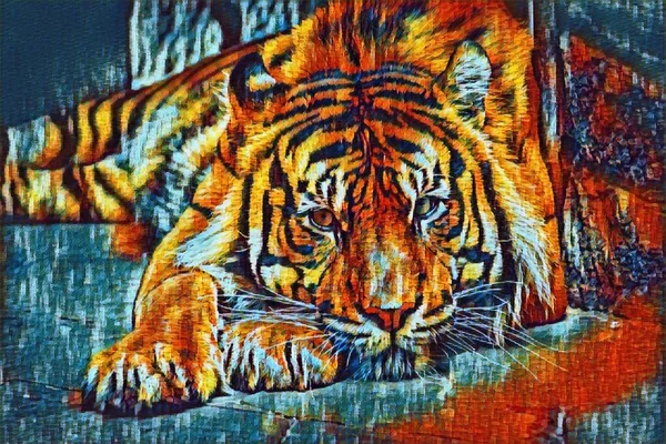Sumatrzański Tygrys Panthera Tigris Sumatrae Piękne Zwierzę Jego Portret — Zdjęcie stockowe