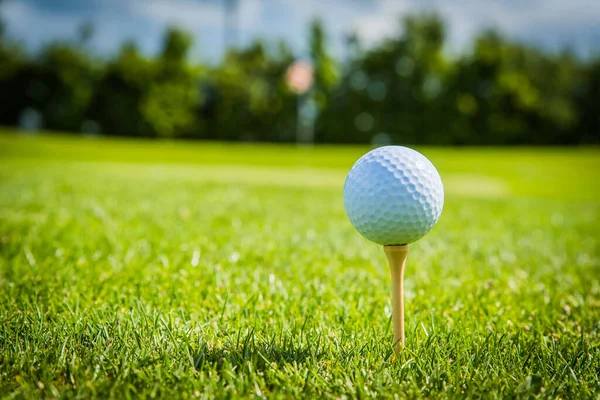 Golfball Auf Golf Green Gras Natürliche Fairway — Stockfoto