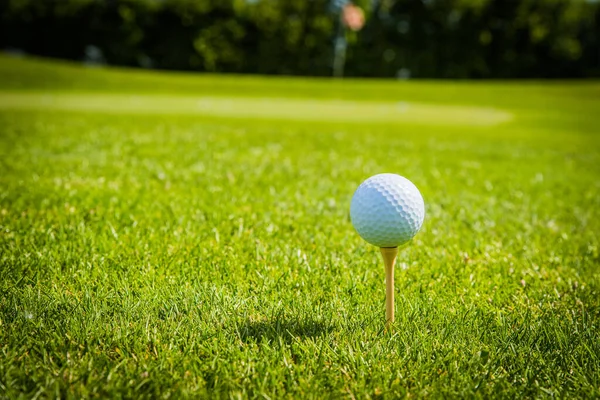 Golfball Auf Golf Green Gras Natürliche Fairway — Stockfoto