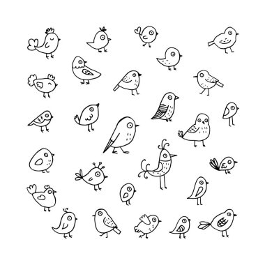 Sevimli doğrusal bahar karalama kuşlarını ayarla