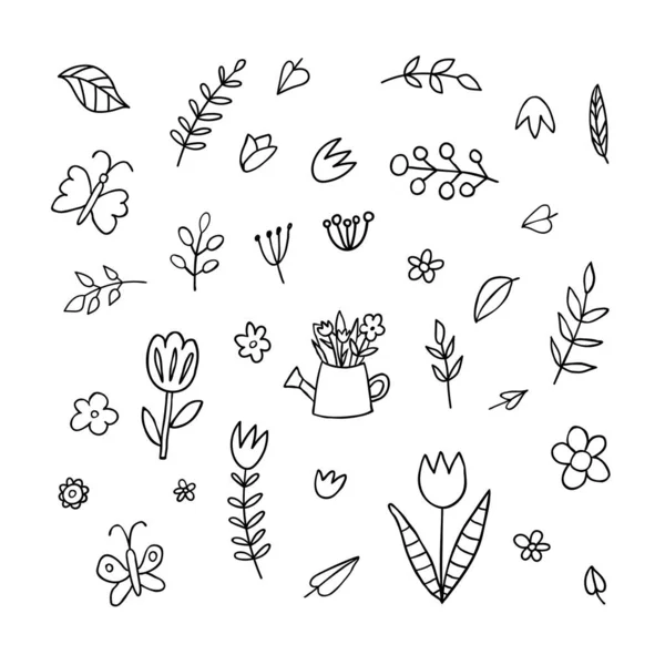 Ensemble Noir Blanc Avec Fleurs Arrosoirs Bouquets Feuilles Papillons Branches — Image vectorielle