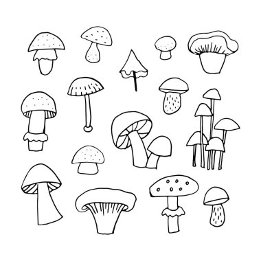 Mantar seti: mantarlar, mantarlar, mantarlar, mantarlar, şampiyonlar.