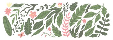 Tropik palmiye yaprakları, orman vektörü çiçekli seti ve beyaz üzerinde kelebek.