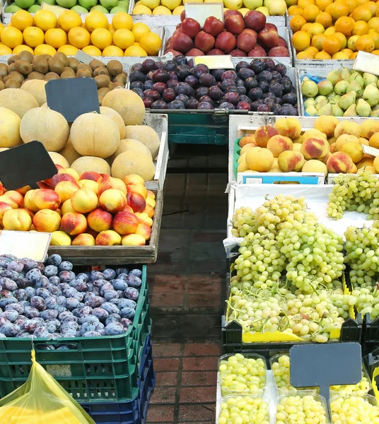 Large fruit stand — Stock Photo, Image