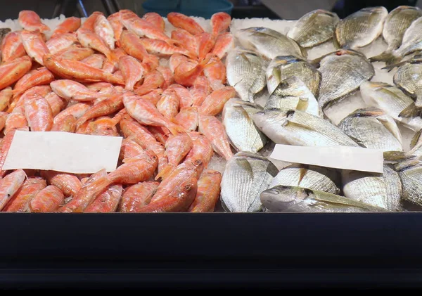 Puesto del mercado de pescado fresco —  Fotos de Stock