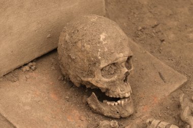 Tozlu insan kafatası