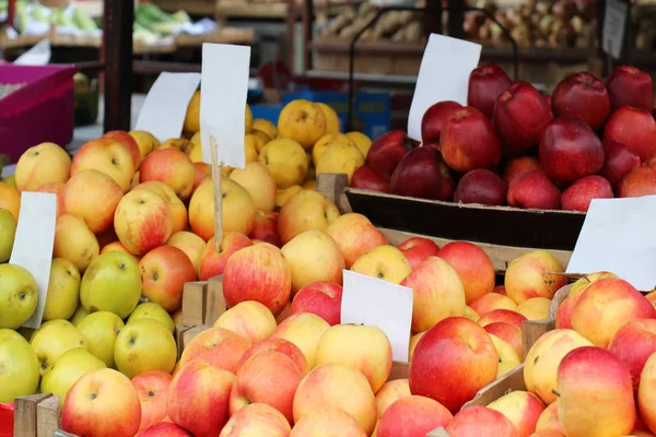 Maçãs orgânicas na banca do mercado — Fotografia de Stock