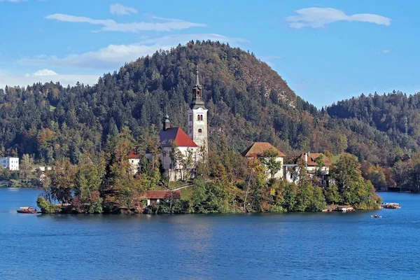 Slovenien Bled sjön — Stockfoto