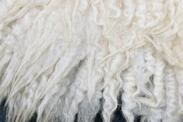 Natural wool texture background — Stock Photo, Image