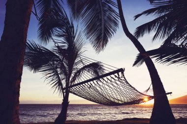 Gün batımında tripical hamak