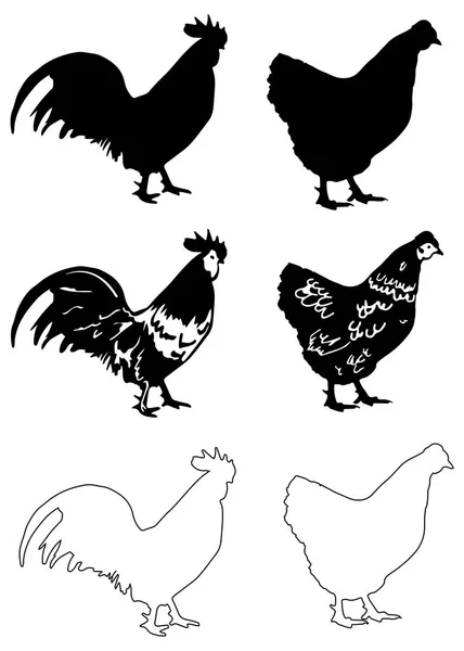 tavuk ve horoz vektör siluet küçük resim