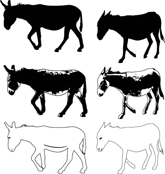 eşek vektör siyah beyaz siluet küçük resim