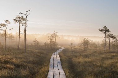 Sis ile Sunrise Bog 