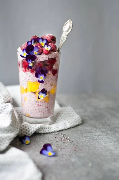 Málna Chia-lágy mangó Pudding — Stock Fotó