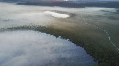 parça hiking ile çam ormanı 