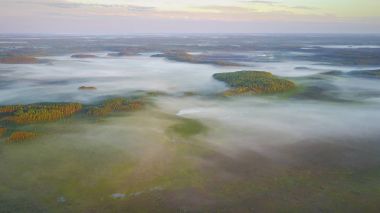 Gün batımı sırasında sisli orman