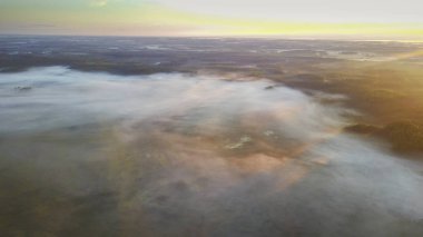 Gün batımı sırasında sisli orman