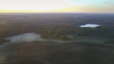 parça hiking ile çam ormanı 