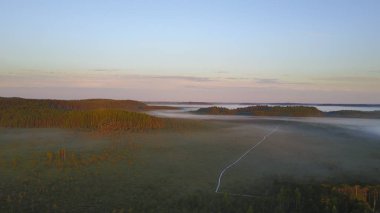 parça hiking ile çam ormanı 