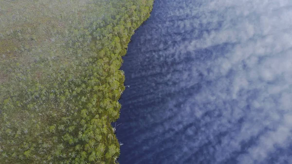 Foggy forest and lake — Stock Photo, Image