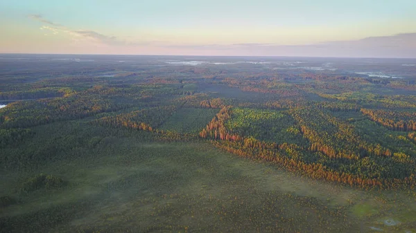 Gün batımı sırasında sisli orman