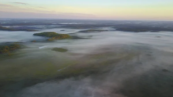 Туманный лес на закате — стоковое фото