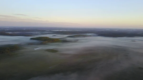 Foggy forest during sunset — Stock Photo, Image