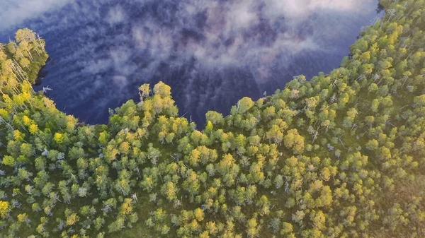 Туманный лес и озеро — стоковое фото