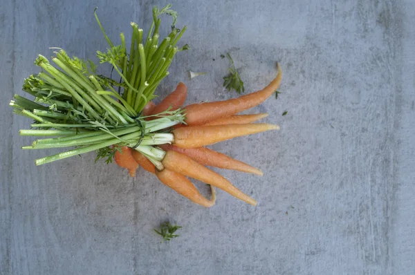 Small Fresh Carrots — Stock Photo, Image