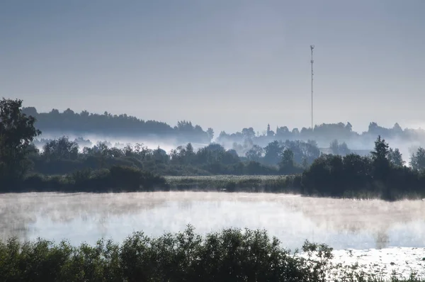 Mistige meer in de buurt van dennenbos — Stockfoto