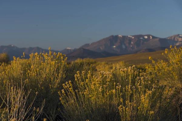 yosemite Milli Parkı dağlarda