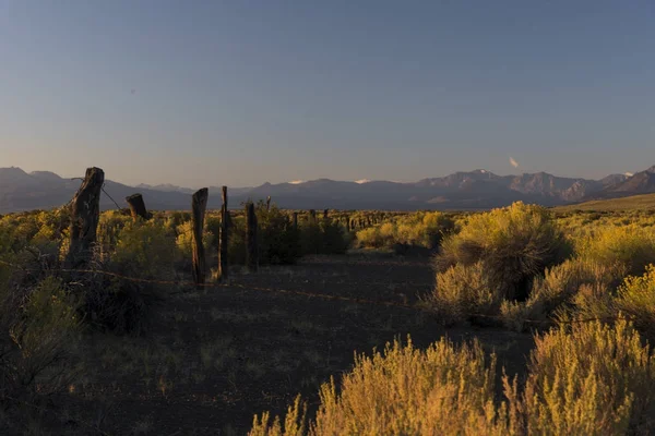 yosemite Milli Parkı dağlarda