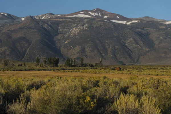 yosemite Milli Parkı dağlarda
