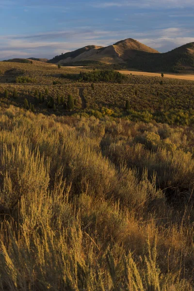 草の牧草地や遠くの山々 と牧歌的な日没の風景 — ストック写真