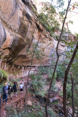 Zion National Park, yakınındaki Springdale, Utah, Amerika Birleşik Devletleri 