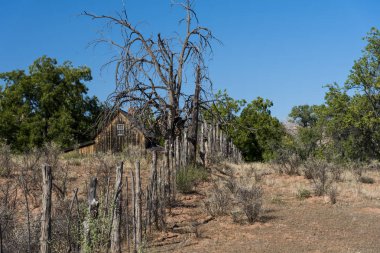 Grafton hayalet kasaba