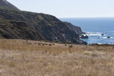 güzel Big Sur sahil