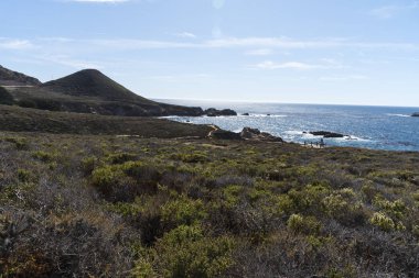 güzel Big Sur sahil