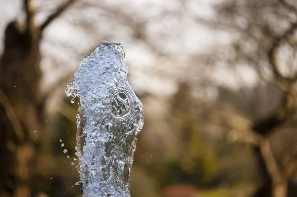 Ornamental fountain water gush. — Stock Photo, Image