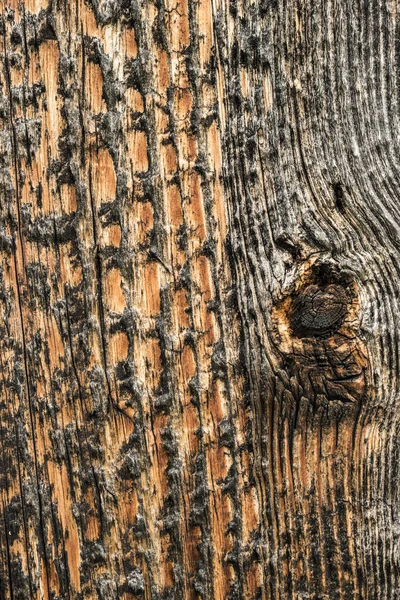 Aged spruce pine wood plank wall detail — Stock Photo, Image