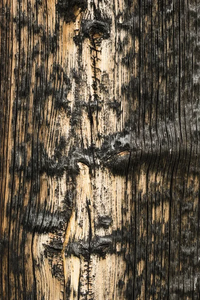 Aged spruce pine wood plank wall detail — Stock Photo, Image