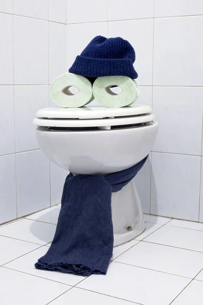 Toilettenpapier Und Schale Spaß Kunst Fotografie — Stockfoto