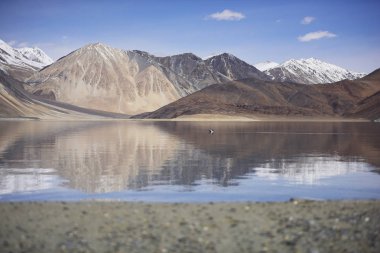Dağlar Pangong göl kenarında yansıması mavi gökyüzü arka plan ile. Leh, Ladakh, Hindistan.